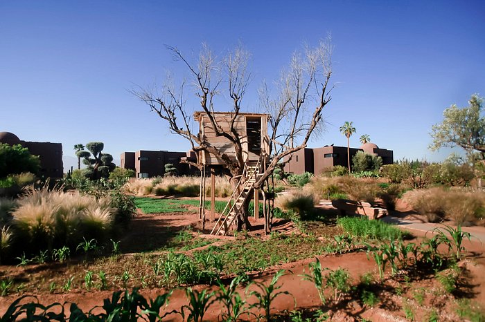 Fellah Hotel - Façade extérieure